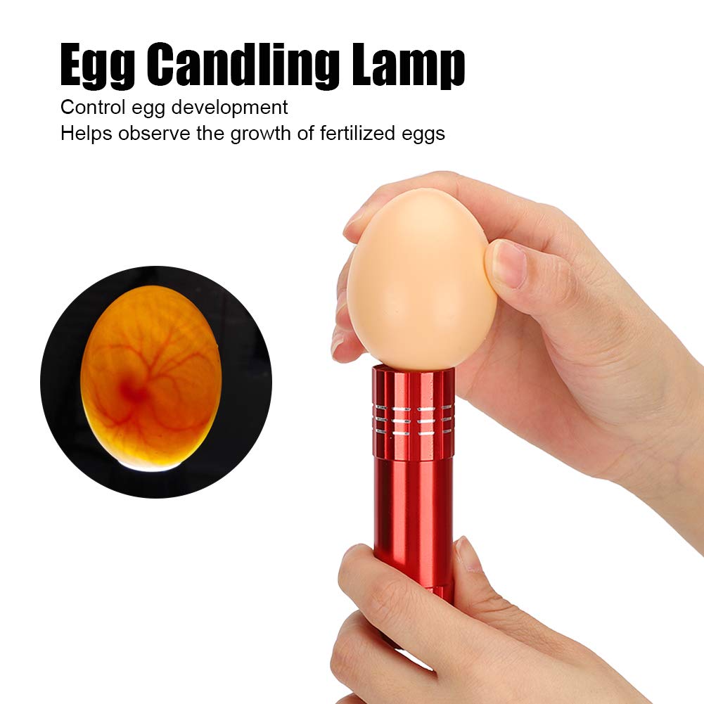 Egg Candler, Cool Light Portable Egg Candling Lamp with High Intensity Light, for Chicken, Goose, Duck, Eggs