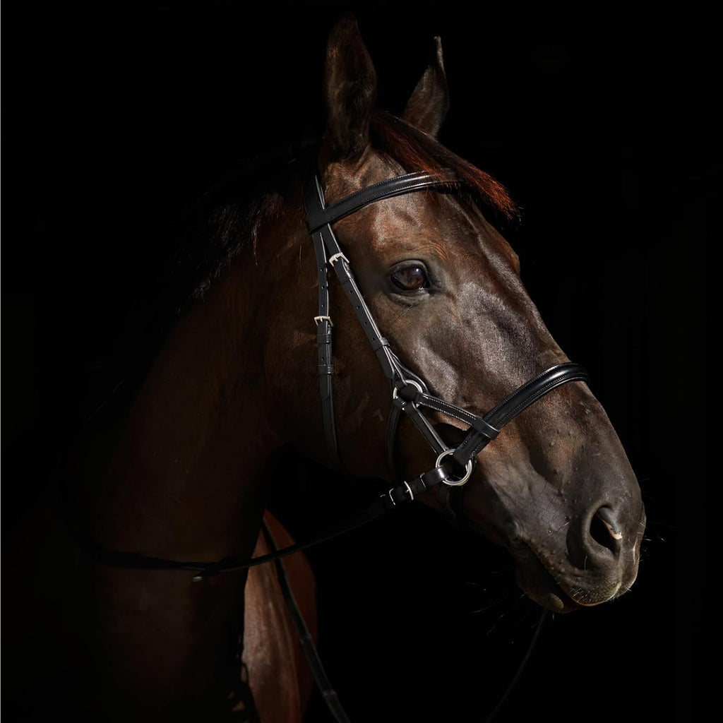 Denver Soft Leather English Side Pull Bitless Bridle for Horses | Web Reins Included