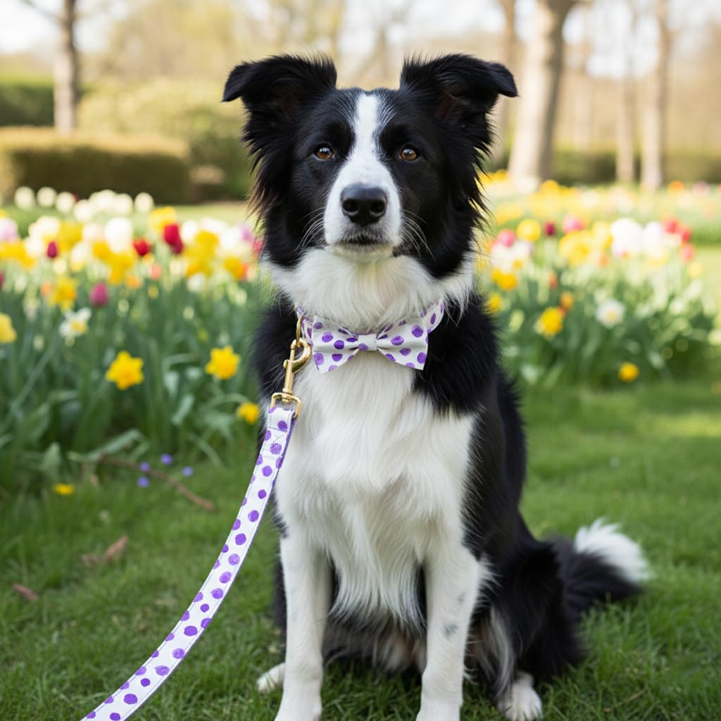 PETDURO Personalized Dog Collars Purple Spot Print