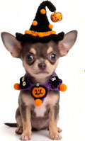 Halloween Dog Costume - Black Witch Hat & Halloween Outfit for Cats and Small Sized Dogs,Handmade Festive Halloween