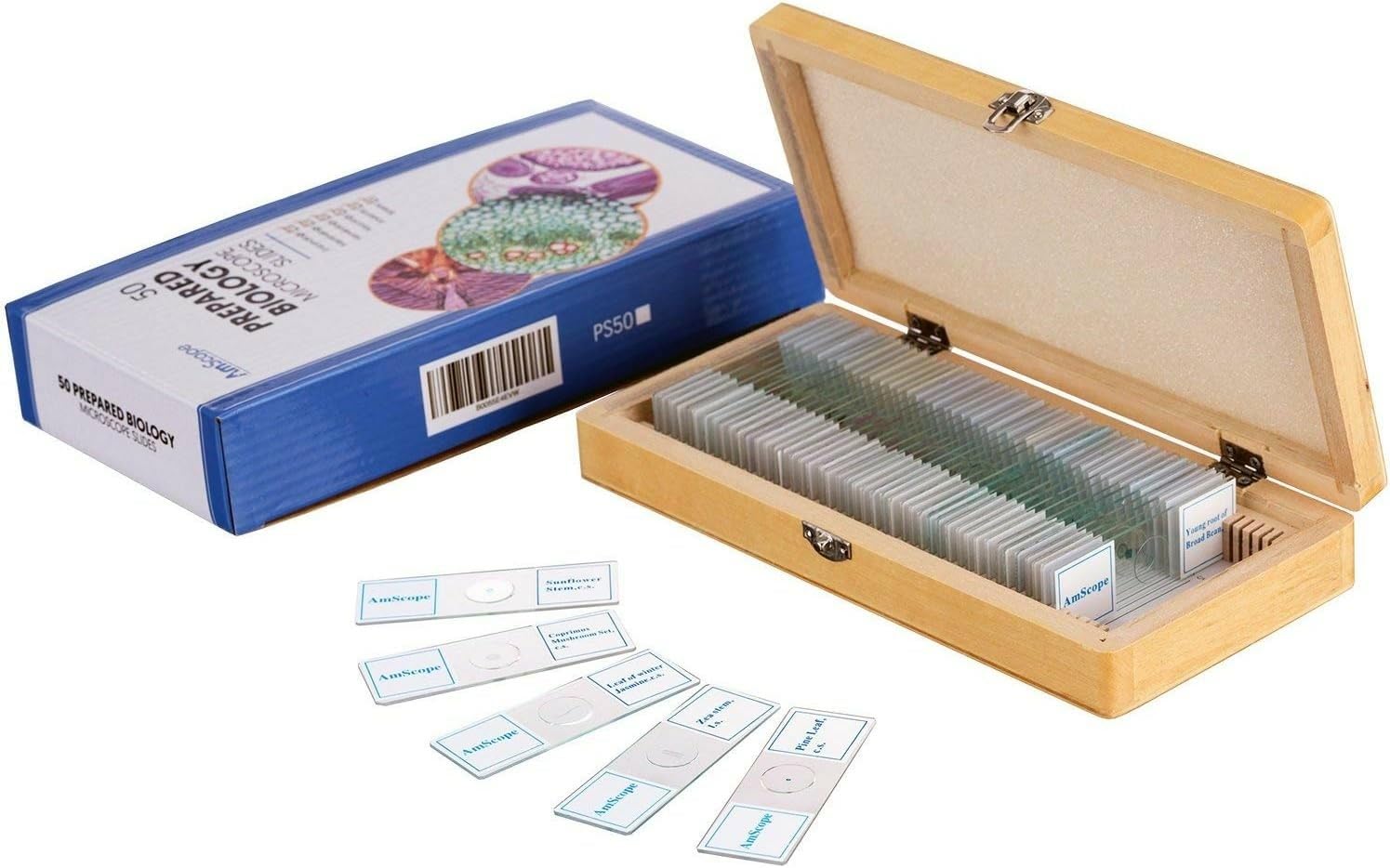 PS50 Prepared Microscope Slide Set for Basic Biological Science | 50pc Prepared Slides Professionally Stained &