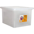 Storage Case File Box, Clear (LLR68925CT)