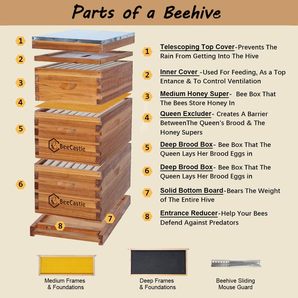 8 Frame Langstroth Bee Hive Coated with Beeswax Includes Beehive Frames and Waxed Foundations (2 Deep Boxes & 1