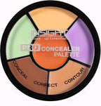 Cosmetics Pro Concealer Palette - Corrector, 15gm