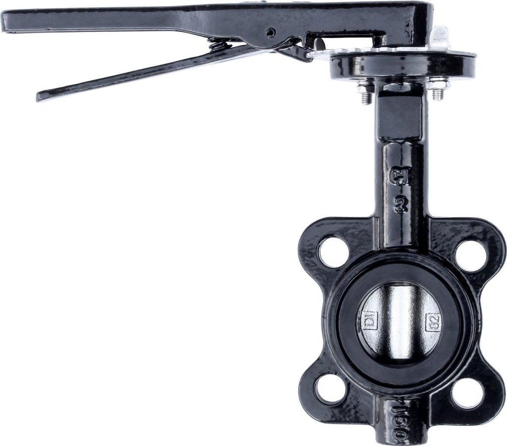 RKLO2 Cast Iron Butterfly Valve, Lever Style, EPDM, Black, 2"