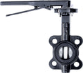 RKLO2 Cast Iron Butterfly Valve, Lever Style, EPDM, Black, 2"