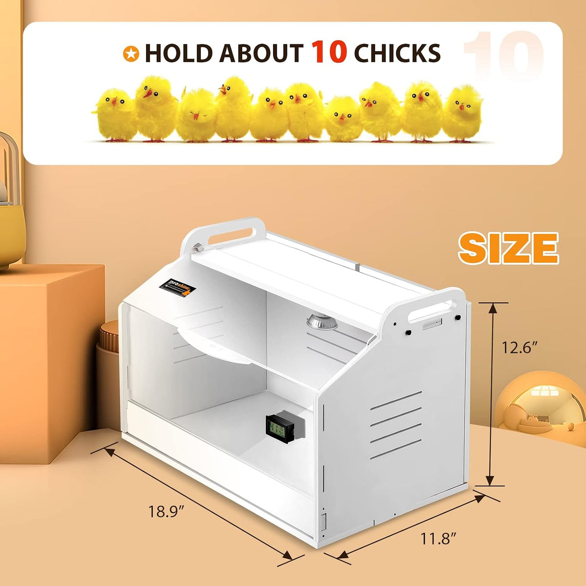 Chicken Brooder Box for Chicks with Heating Lamp Up to 10 Chicks