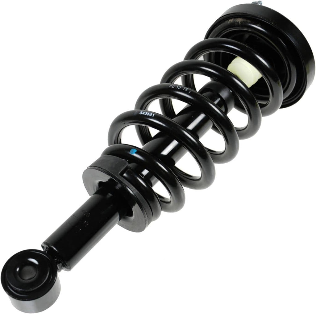 TRQ Rear Strut and Spring Assembly Set