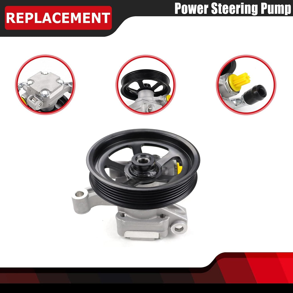 Power Steering Pump with Pulley Replaces 20954812 20-2403 96-2403