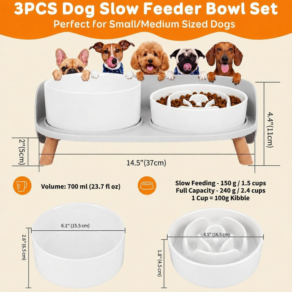Elevated Slow Feeder Dog Bowls - Ceramic Food and Water Bowl Set with Stand - Raised Pet Dishes for Small and Medium