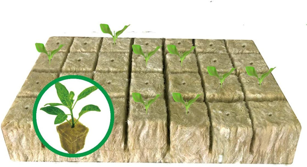 MI0512 1.5” Rockwool Starter Plugs for Hydroponics, Rockwool Grow Cubes, 1 Sheets of 28 Plugs (Small)