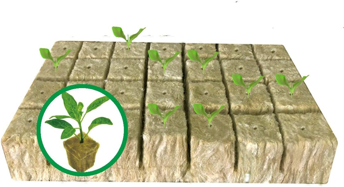 MI0512 1.5” Rockwool Starter Plugs for Hydroponics, Rockwool Grow Cubes, 1 Sheets of 28 Plugs (Small)