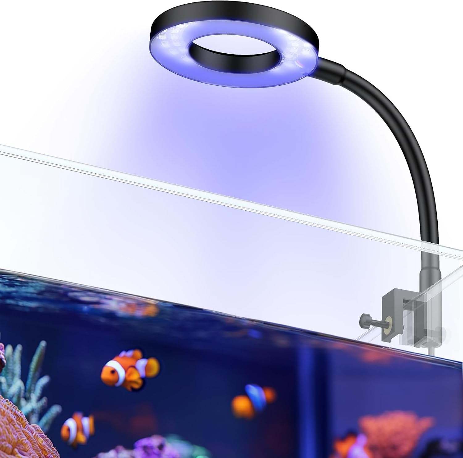 Aquarium Light for 1-3 Gallon Saltwater Fish Tanks, Clip On LED Reef Light for Corals, Dimmable USB Aquarium Lamp