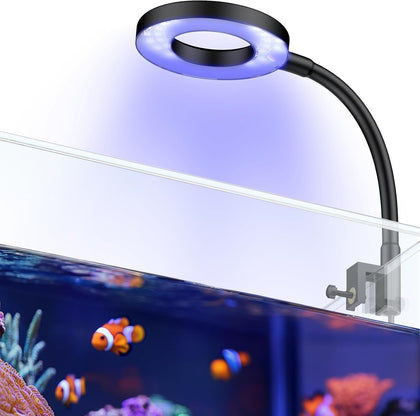 Aquarium Light for 1-3 Gallon Saltwater Fish Tanks, Clip On LED Reef Light for Corals, Dimmable USB Aquarium Lamp