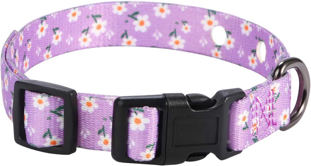 3/4 Inch Replacement Collar Strap Shock Collar with 2 Holes, Compatible with Nearly All Brands and Models of