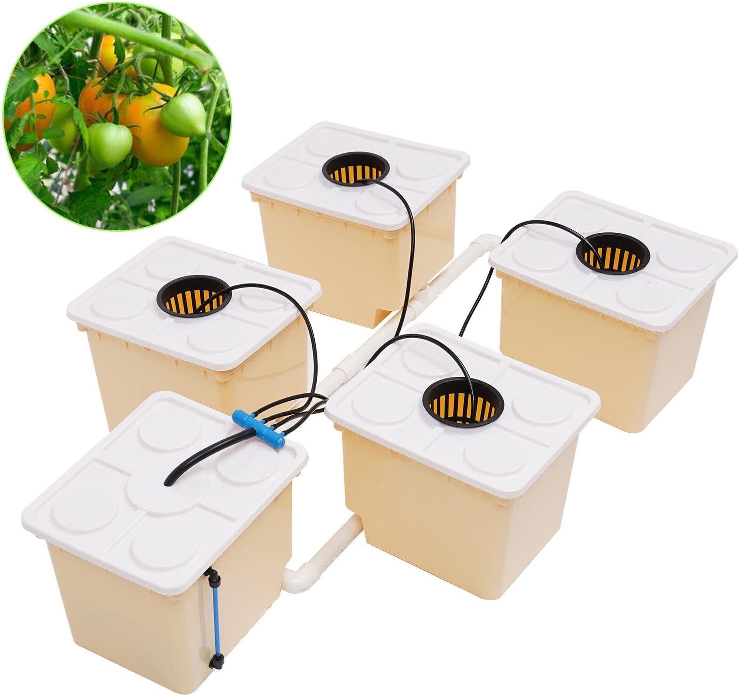 DWC Hydroponics System, 2.91 Gallon Deep Water Culture Bucket Drip Growing System with 5 Buckets Recirculating