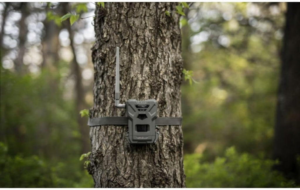 Flex-M Solar Bundle - Cellular Trail Camera with Solar Panel, Best in Hunting Accessories, No WiFi Needed, GPS, Night