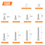 HELIFOUNER 250 Pieces #6-32 x 3/16" 1/4" 5/16" 3/8" 1/2" 5/8" 3/4" 1", Hex Socket Head Cap Screws Bolts Washers Nuts Kit, Coarse Thread, Fully Machine Threaded, 304 Stainless Steel