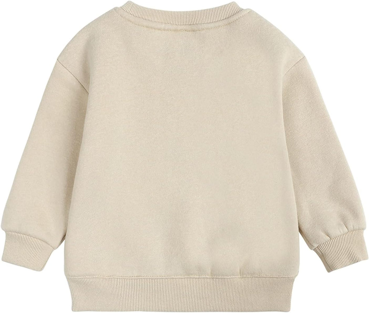 Baby Toddler Boys Fleece Sweatshirt Crewneck Long Sleeve Cotton Pullover Kids Solid Casual Sport Sweatshirts Sweater