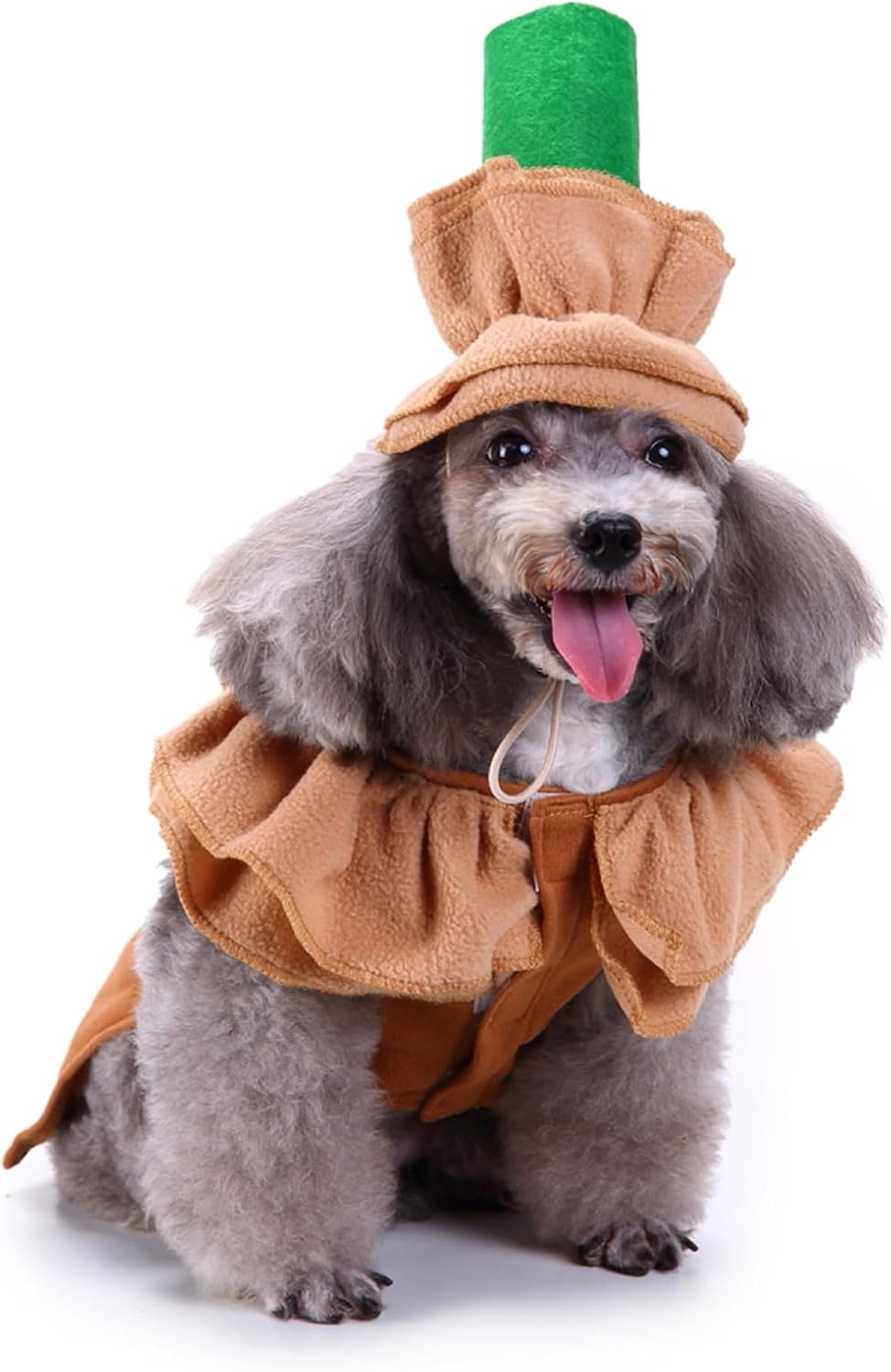 Latte Dog Costumes - Coffee Shop Dog Cosplay Halloween Costumes, Puppy Christmas Party Attire for Medium Small Dogs