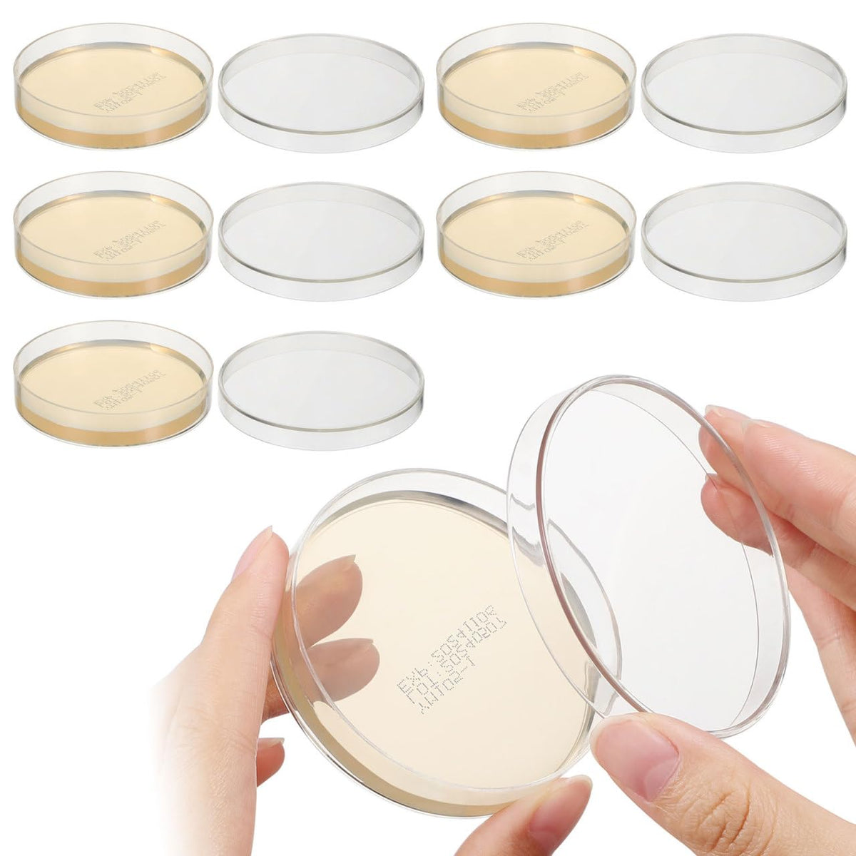 Nutrient Agar Plates 70mm Ready-to-use Agar Plates, Triple-Sealed Petri Dishes for Classroom, DIY Science Projects &
