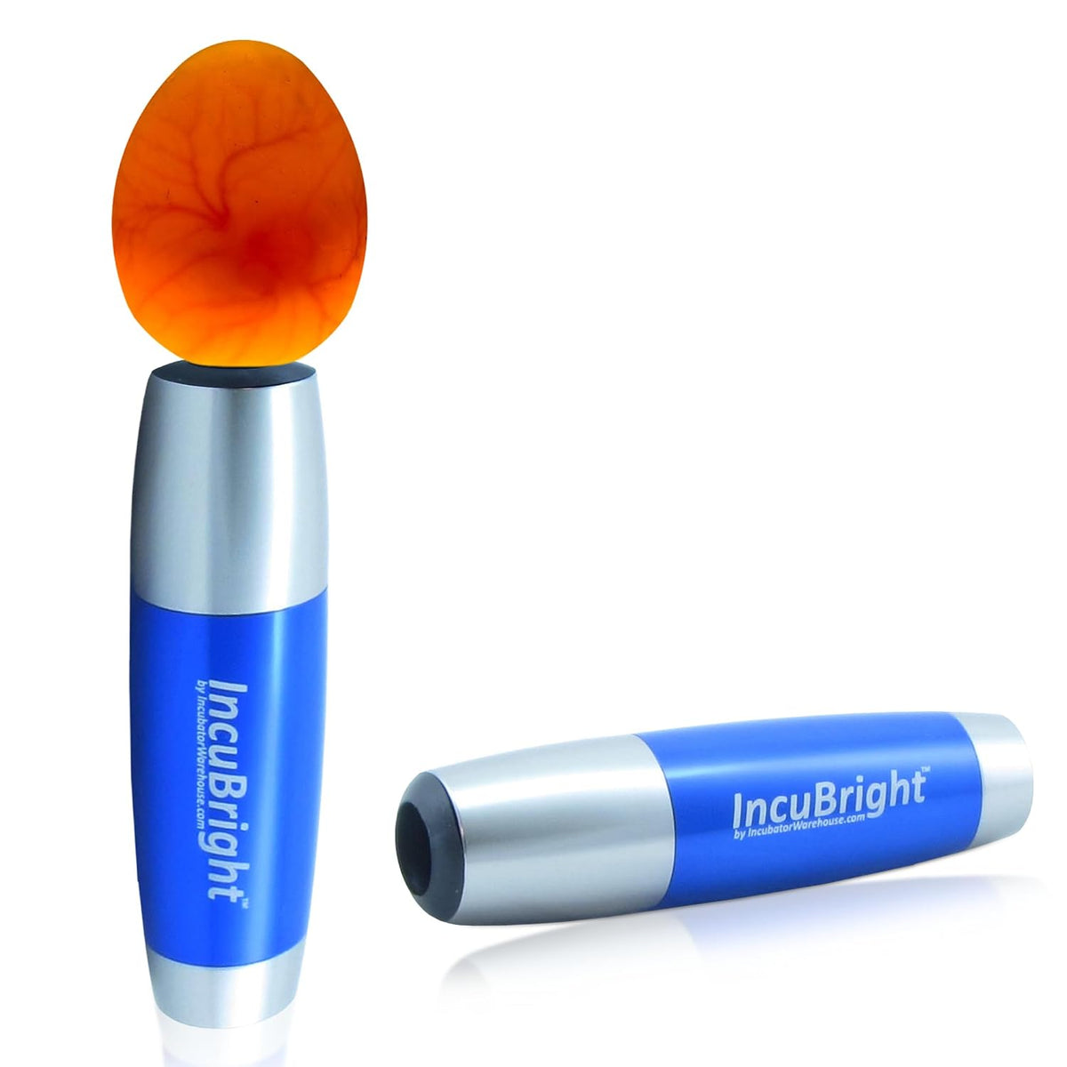 Incu-Bright Ultra Bright LED Egg Candler - Portable Light for All Egg Size