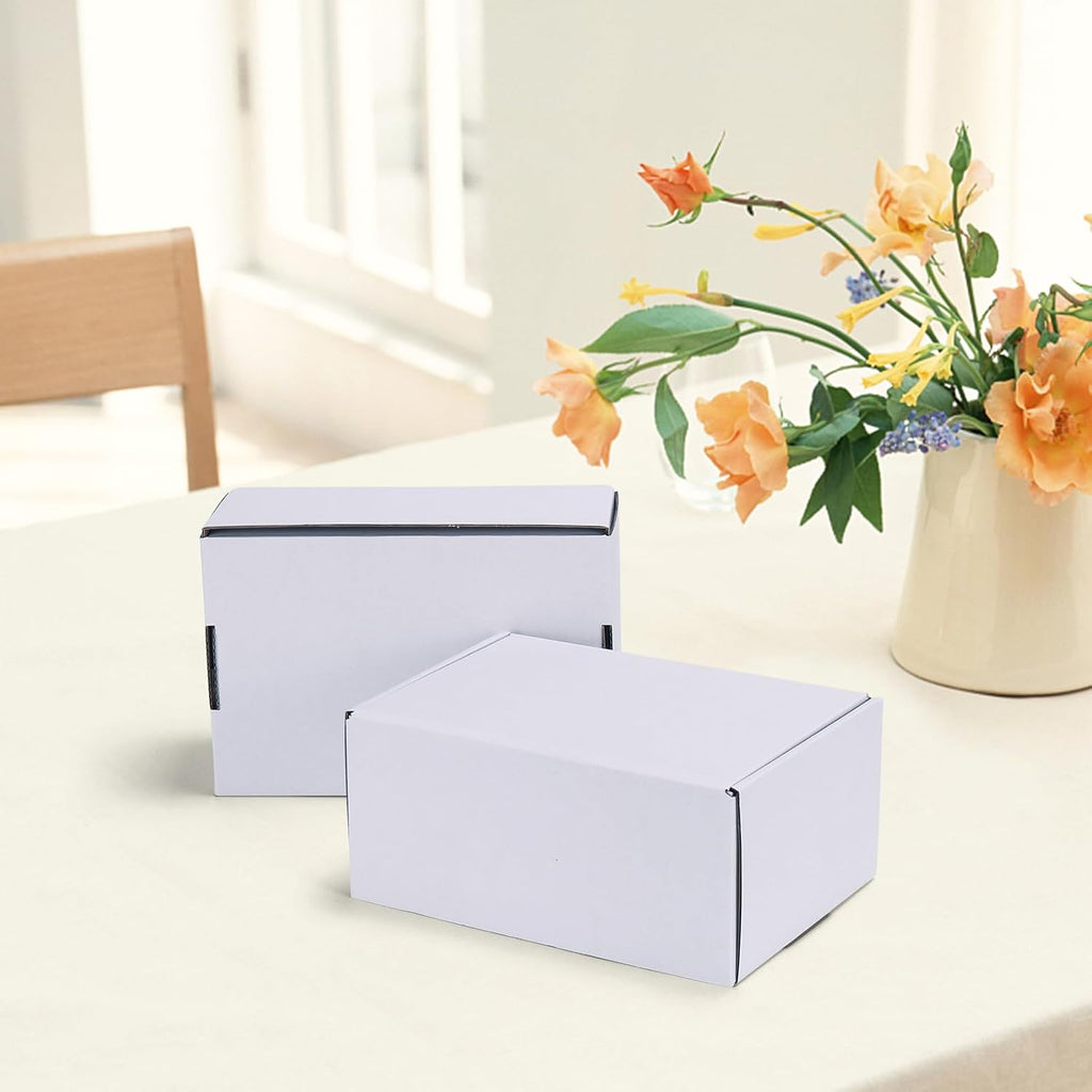 9x6x4 Shipping Boxes Set of 30, White Corrugated Cardboard Mailer Box for Packing Small Business