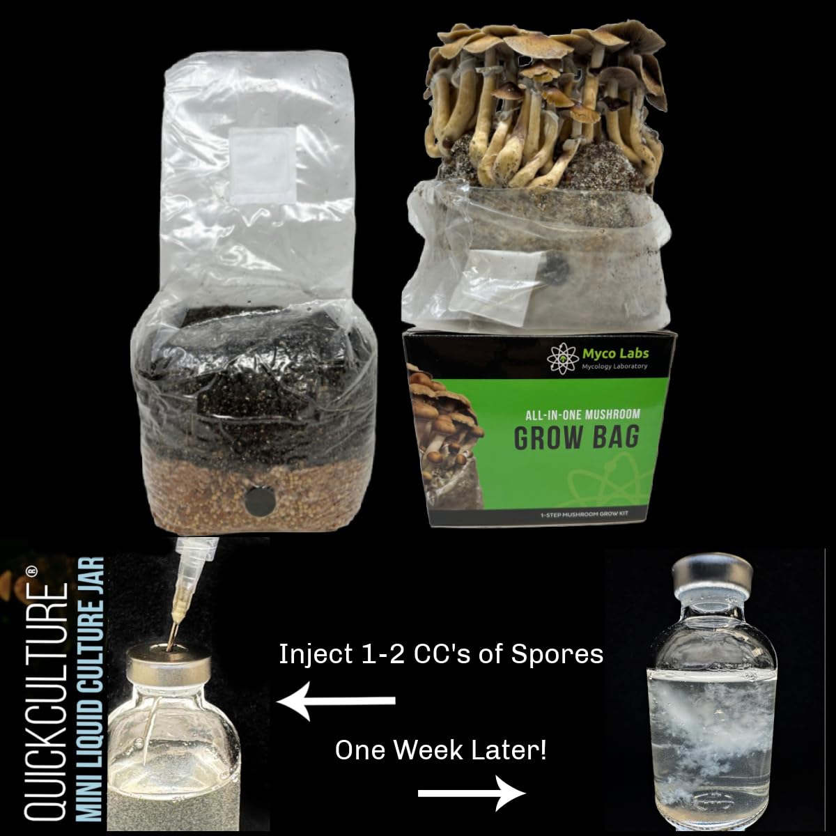 All-in-One Mushroom Grow Bag for Manure Loving Mushrooms + Spore Germination Jar! (4LB)