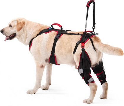 Dog ACL CCL Knee Brace for Large Dogs, Set of 2 Hind Leg Braces with Handles & Shoulder Strap – Non-Slip Support for