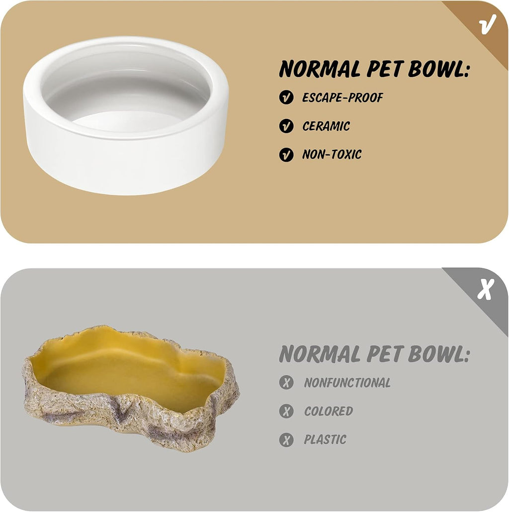 Reptile Food Dish Bowl 2Pcs Lizard Gecko Worm Water Bowls Small (2.75in)