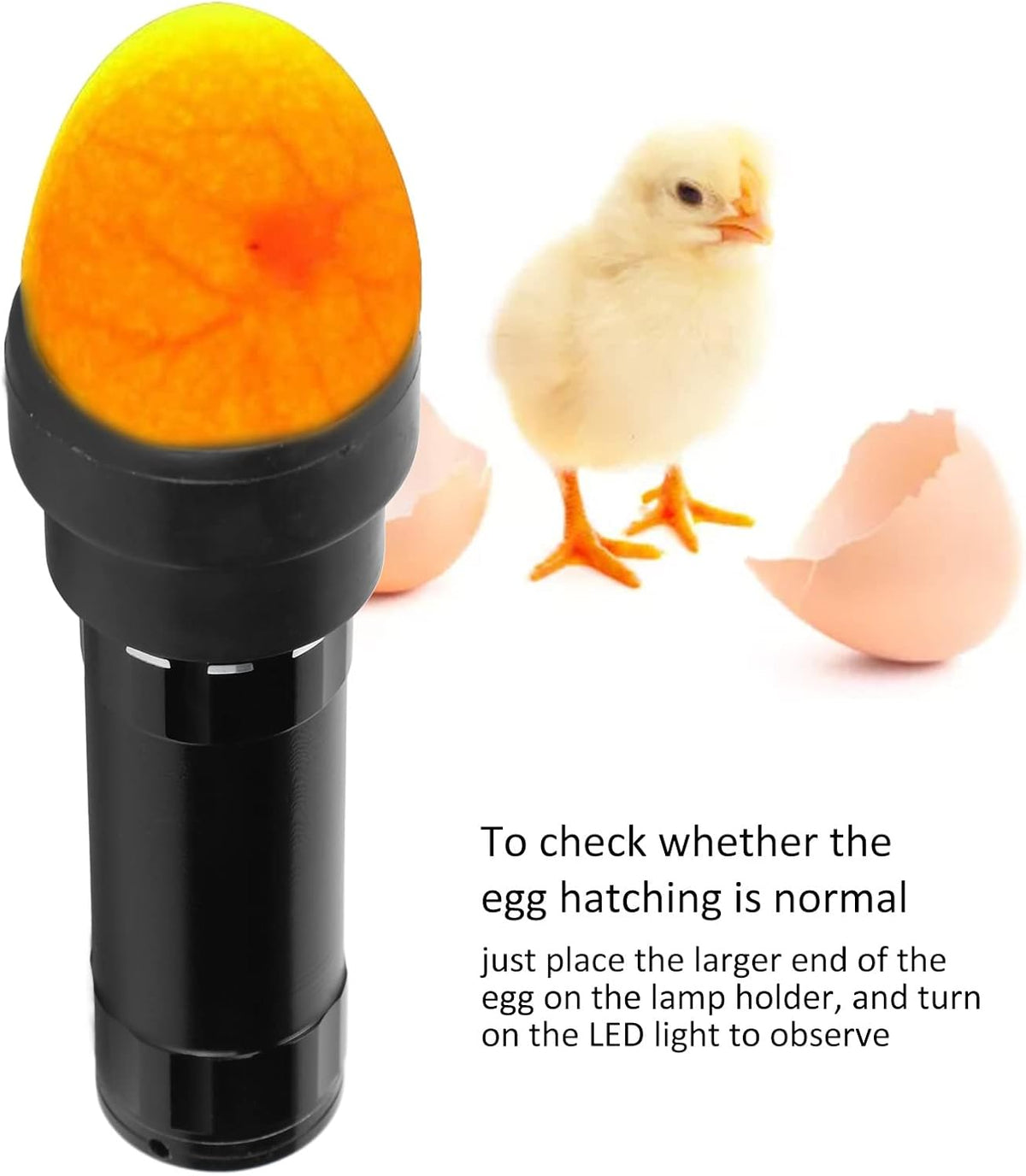 Egg Candler Tester, 9 Lamp Safe Cool Light Egg Candler LED Light Candling Lamp with Lanyard for Chickens Geese Cranes