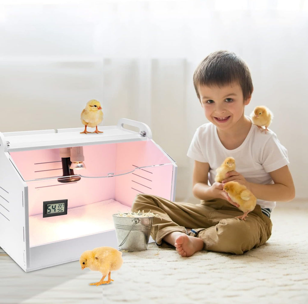Intelligent Brooder Box 10-15 Newborns Chicks Quail Birds Egg Incubator