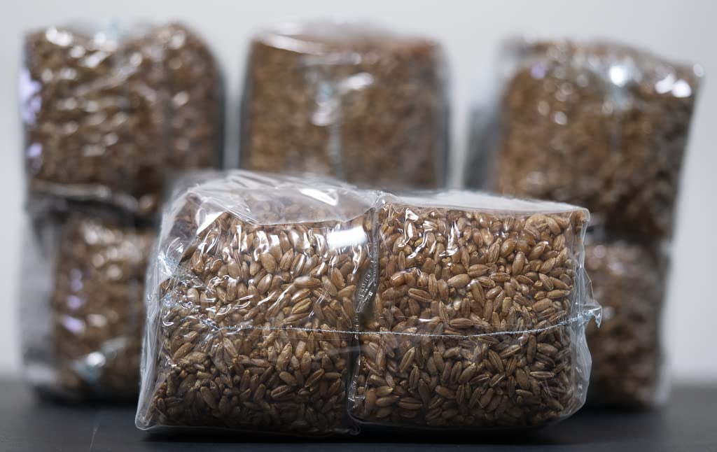 Mushroom Growing Kit with Injection Ports | Sterilized Rye Grain | Magic Indoor Grow Bags for Mushrooms | Home