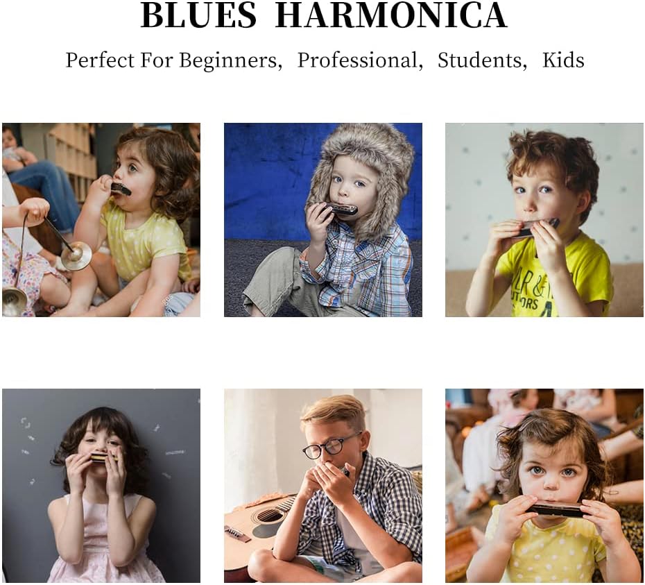 10 Holes 20 Tunes Blues Harmonica C Key Purple with Hard Case | Diatonic Harp Mouth Organ Durable Reeds and Metal