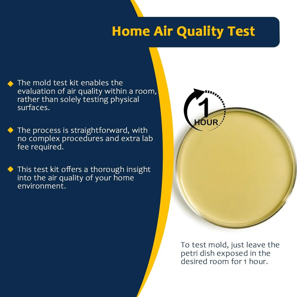 Mold Testing Kit with 5 Individual Tests - DIY Mold Test Kit for Home - Includes Detailed Mold Identification Guide