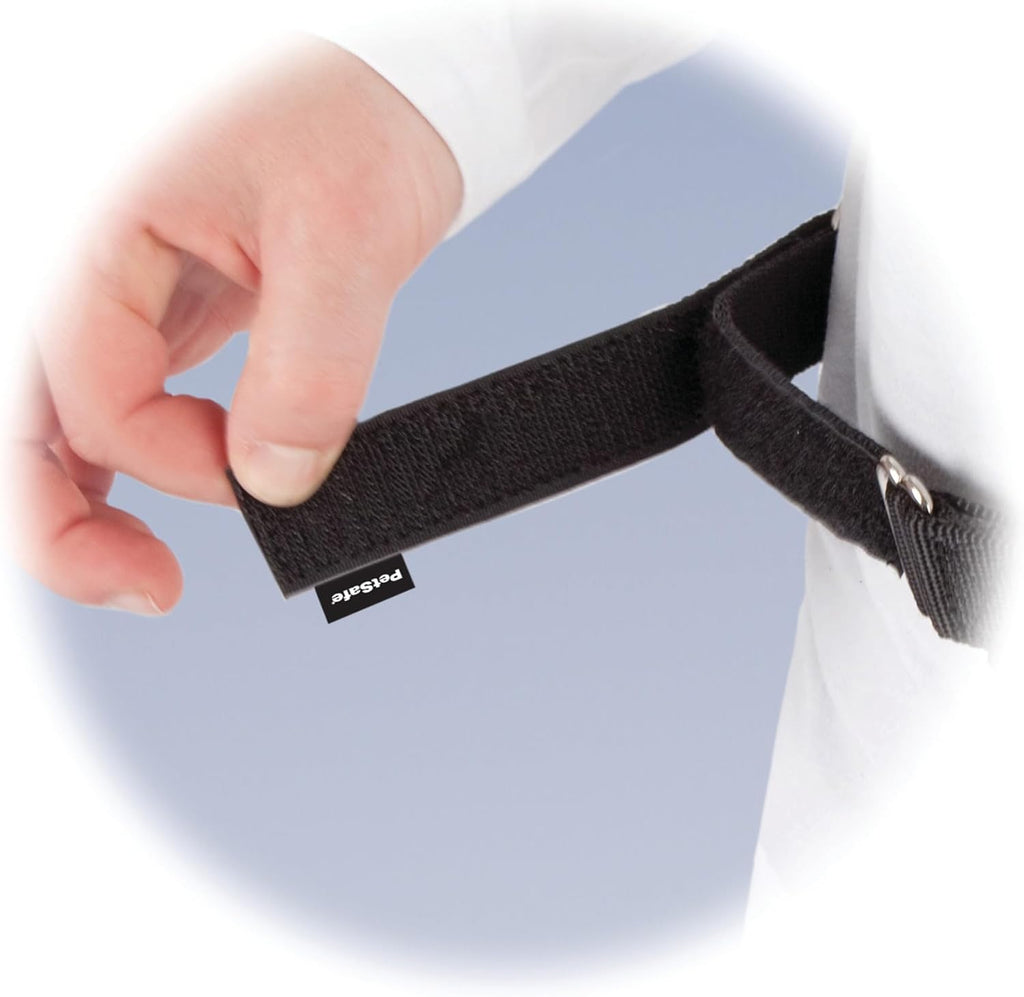 Hands Free Dog Leash, Black