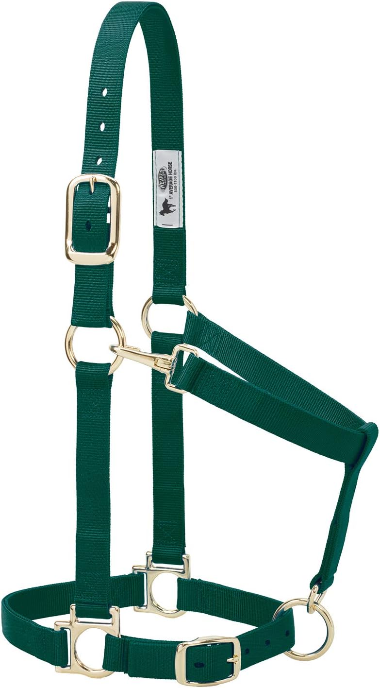 Nylon Horse Halter, Large Horse, Adjustable, 1 in