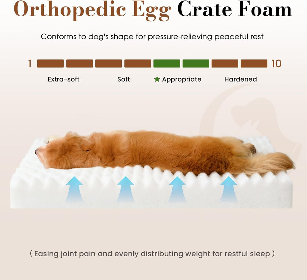 Dog Beds for Large Sized Dog, Orthopedic Pet Bed with Waterproof Lining, Soft Short Plush Surface & Egg Crate Foam
