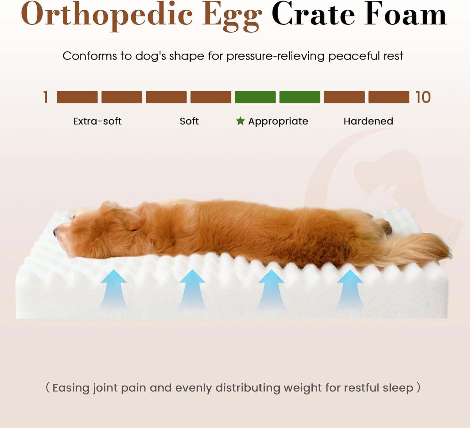 Dog Beds for Large Sized Dog, Orthopedic Pet Bed with Waterproof Lining, Soft Short Plush Surface & Egg Crate Foam