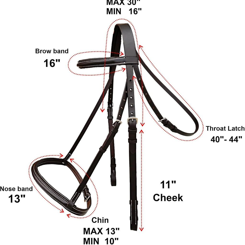 Padded Raised English Bridle, Premium Leather, Matching Laced Reins