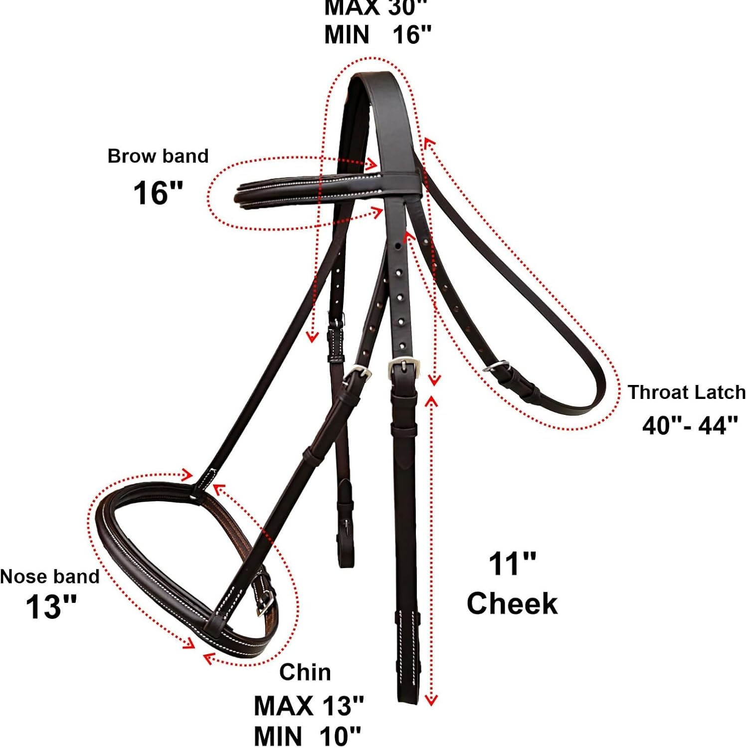 Padded Raised English Bridle, Premium Leather, Matching Laced Reins