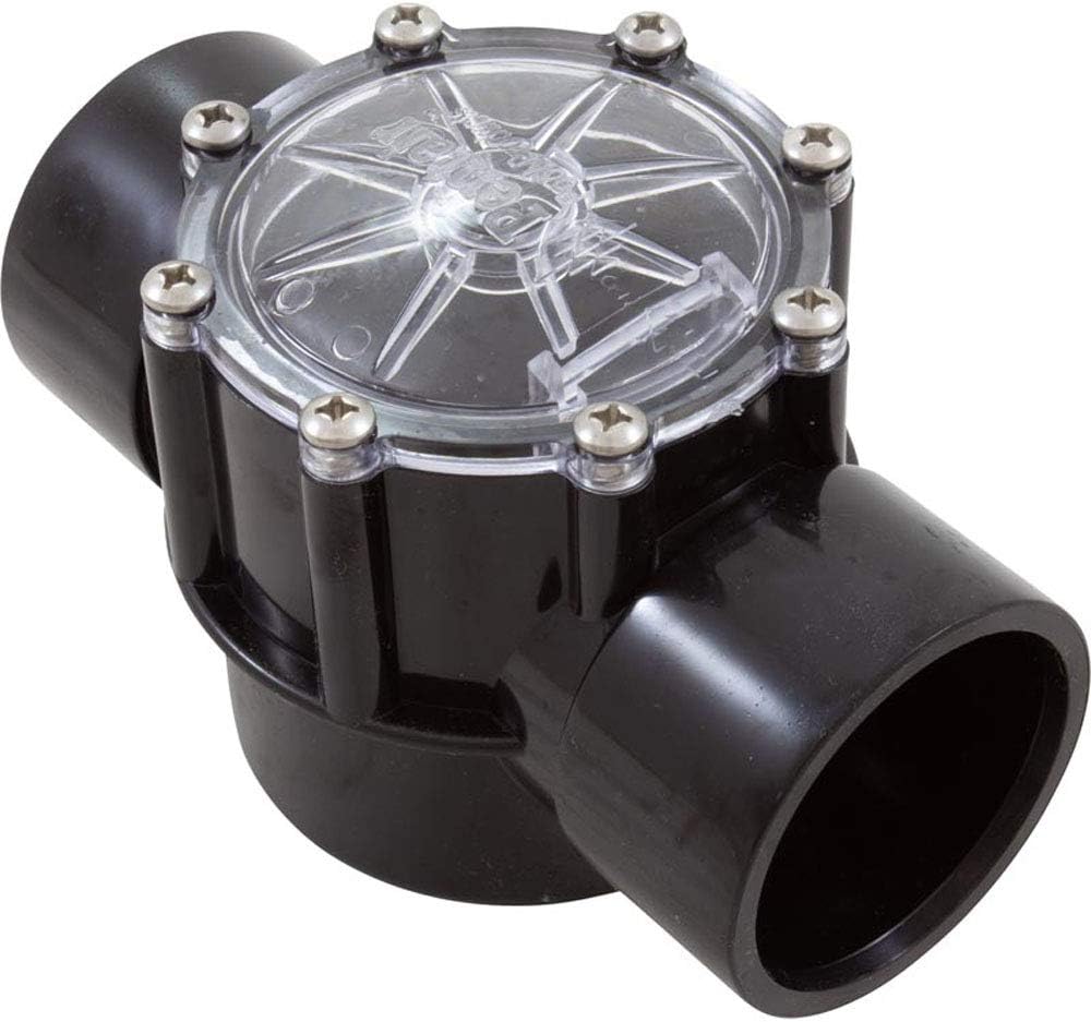 Pentair 263042 Check Valve CPVC for Pool Pumps, 2 Port Straight