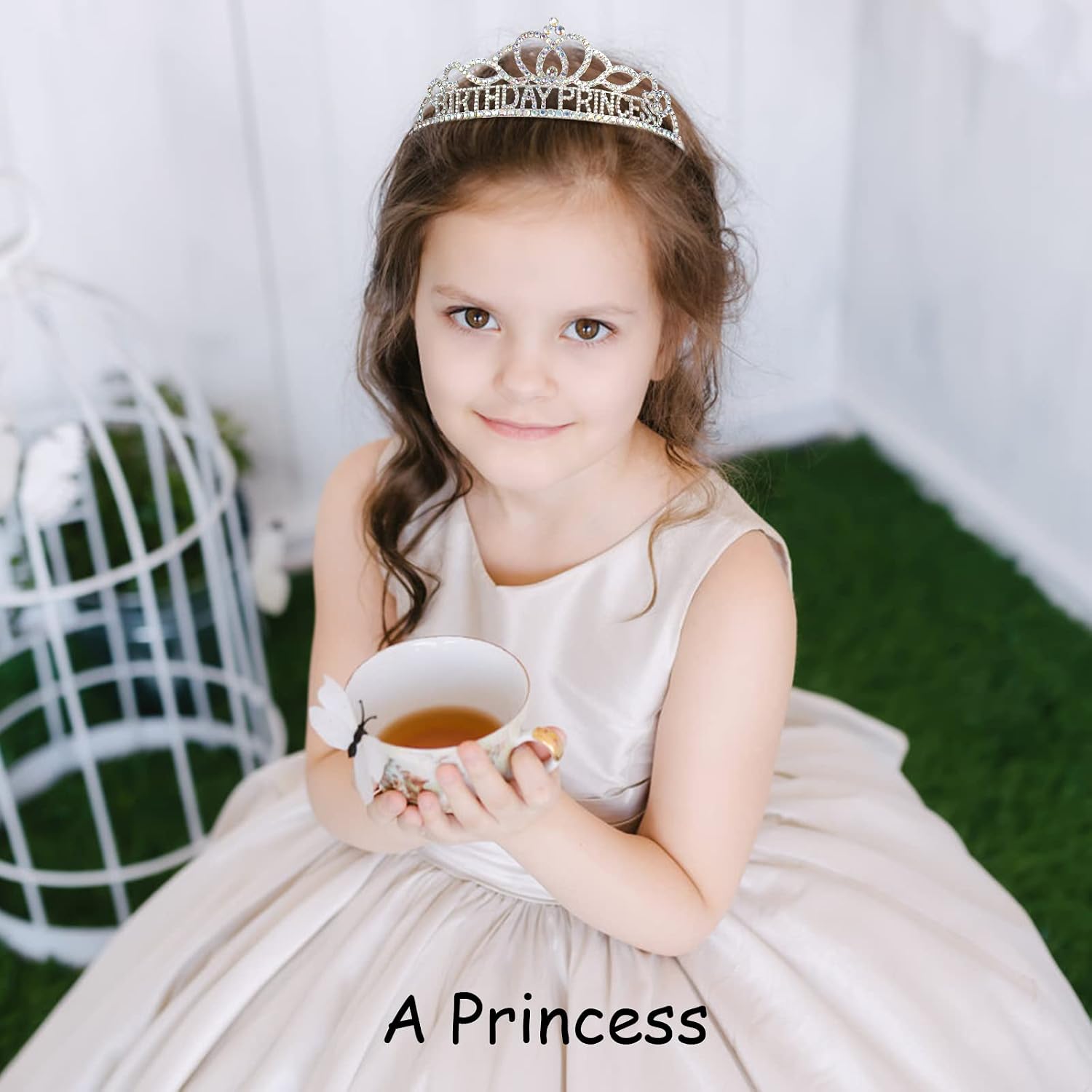 Birthday Princess Crown and Sash Set - Silver AB Rhinestones Tiara for Women and Girls - Birthday Decorations