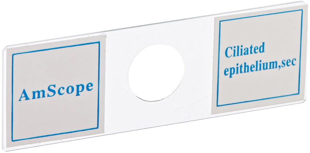 PS100A Prepared Microscope Slide Set, 100 Slides Set A | 100 Prepared Glass Slides for Basic Biological Science