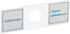 PS100A Prepared Microscope Slide Set, 100 Slides Set A | 100 Prepared Glass Slides for Basic Biological Science