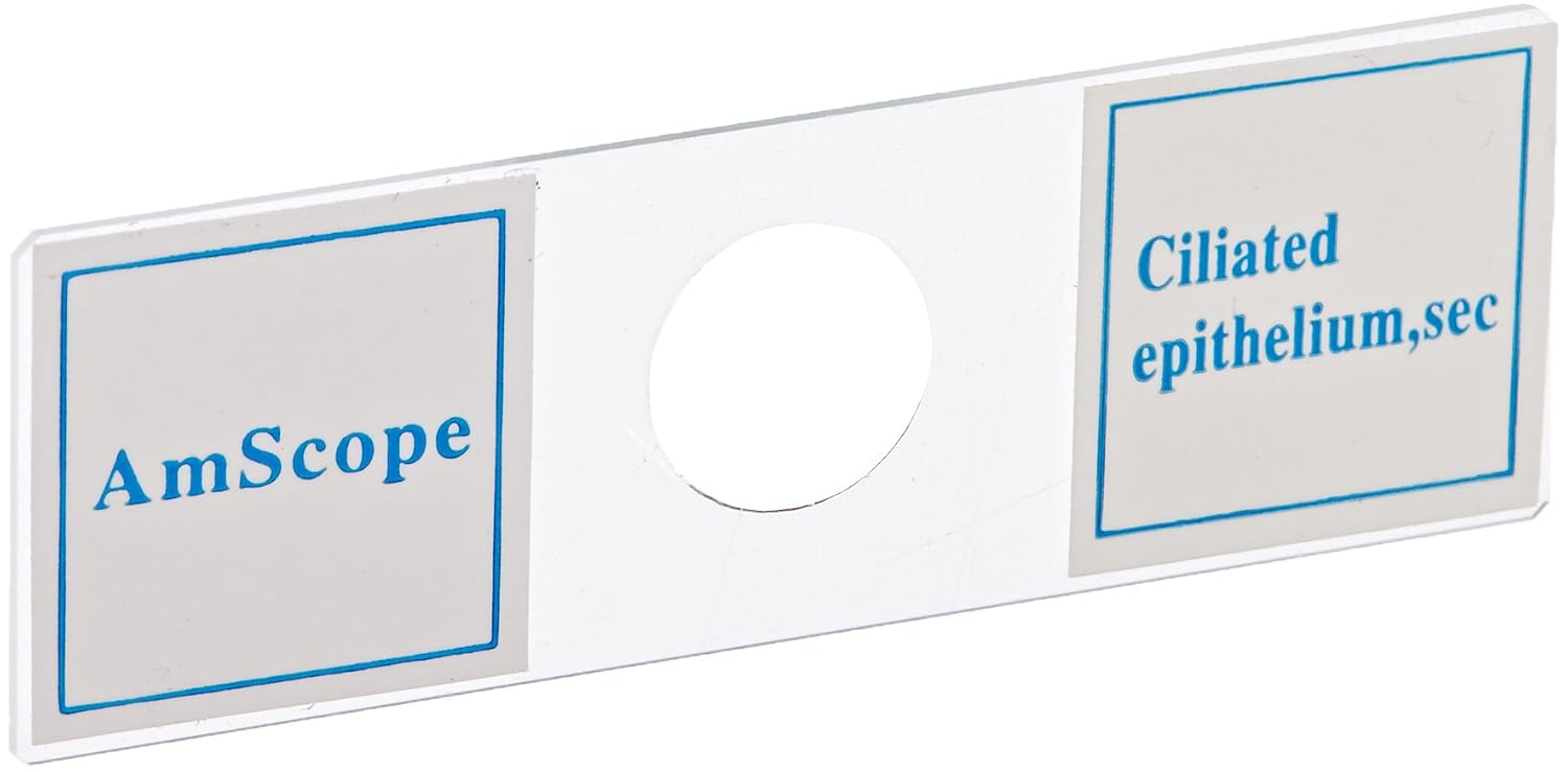 PS100A Prepared Microscope Slide Set, 100 Slides Set A | 100 Prepared Glass Slides for Basic Biological Science