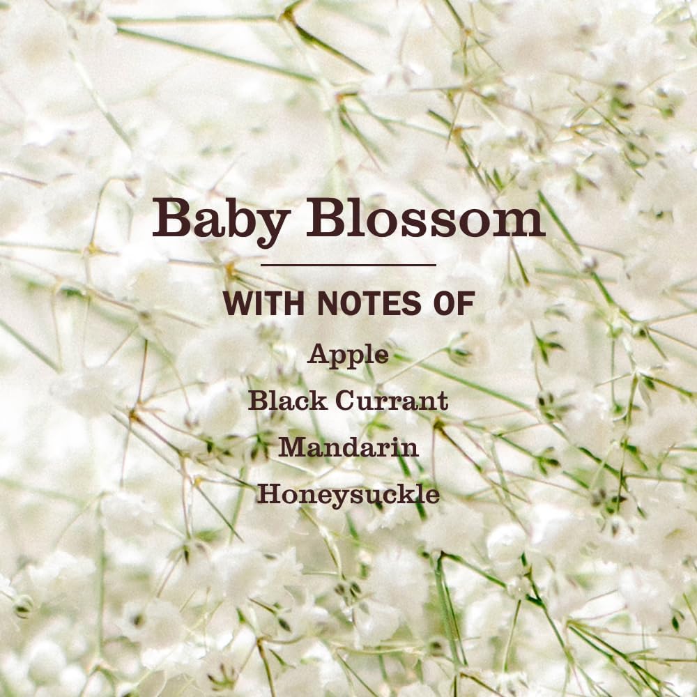 CLEAN DAY Baby Laundry Detergent Liquid, Baby Blossom, 64 oz