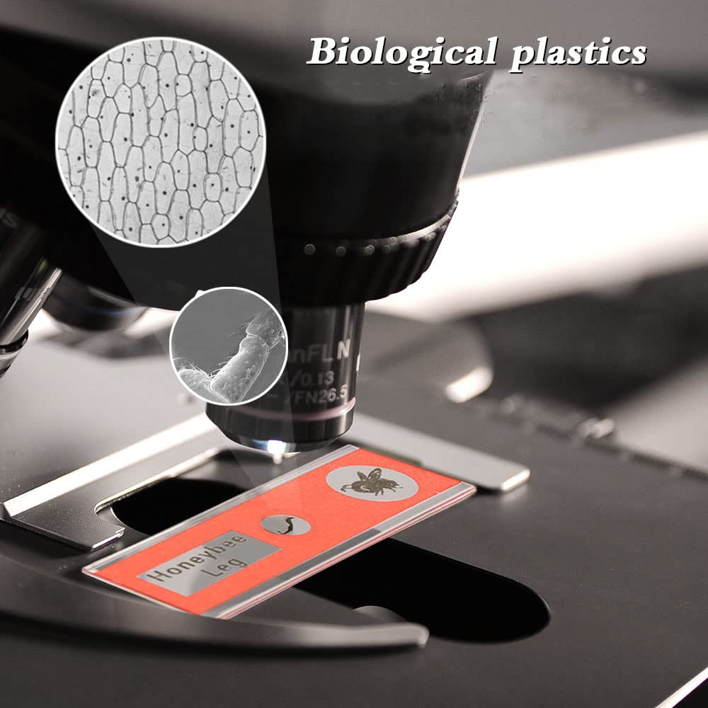 Prepared Plastic Microscope Slides with Specimens for Kids, Microscope Sample Slides Full Range of