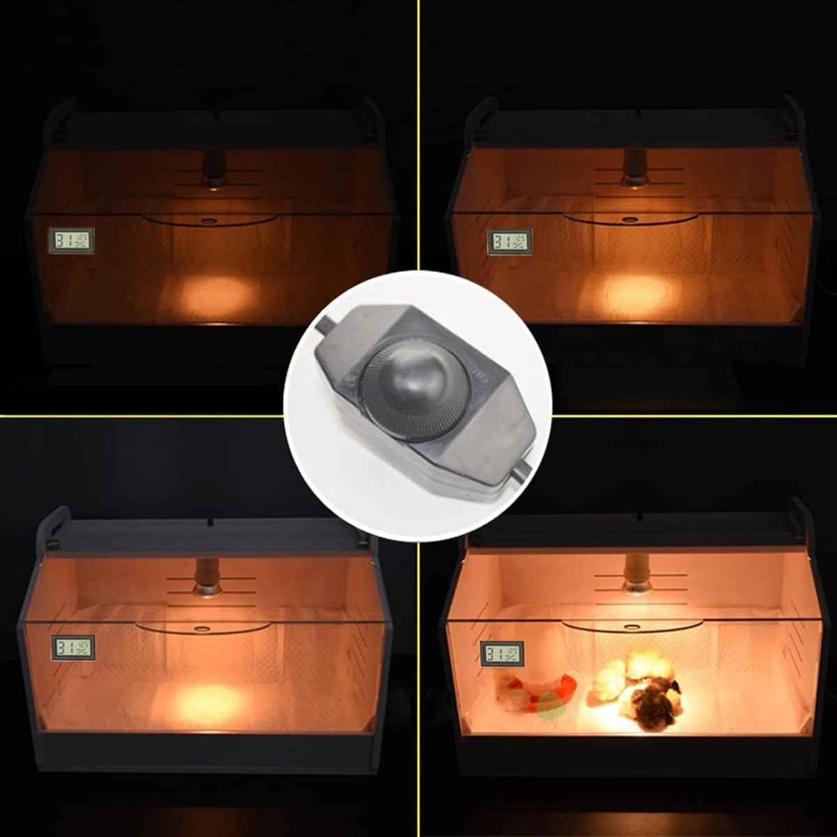 Intelligent Brooder Box 10-15 Newborns Chicks Quail Birds Egg Incubator