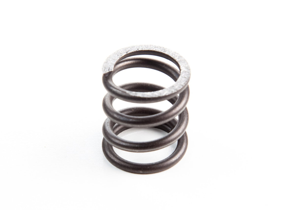 Briggs & Stratton 26826 Valve Spring Replaces 555553, 26826